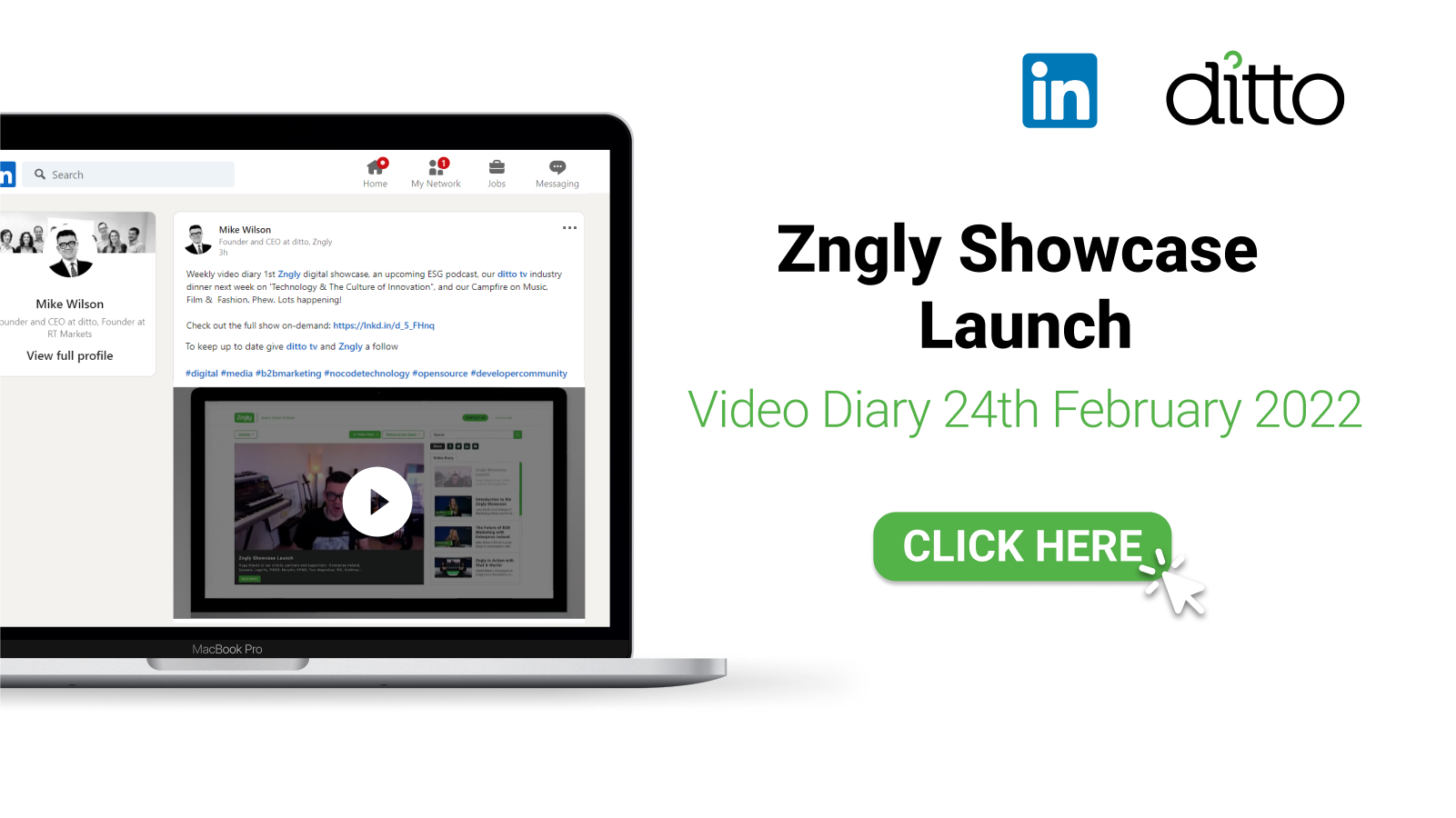 Zngly Showcase Launch