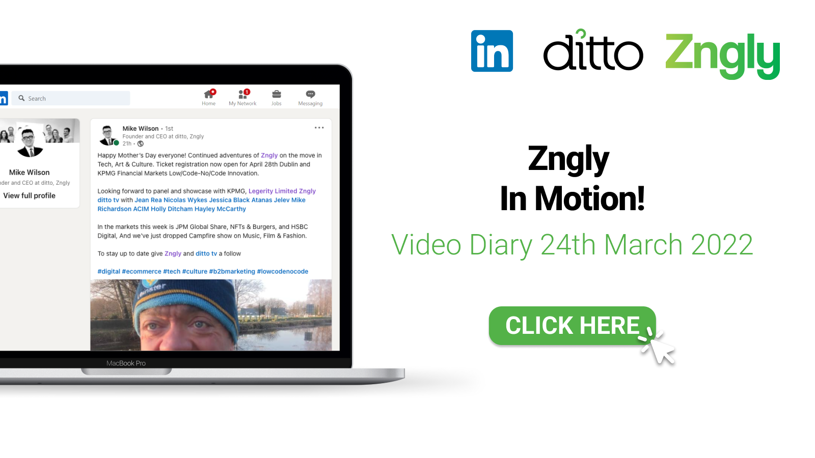 Zngly In Motion!